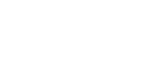 dell dell